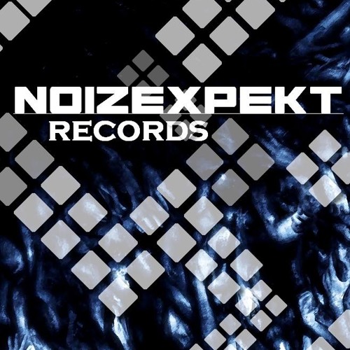 NOIZEXPEKT RECORDS’s avatar