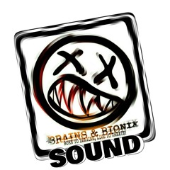 Brains & Bionix Sound