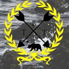 BeautyTakingTides(band)