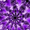 purplepatterns