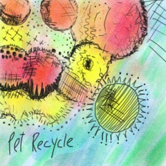 Pet Recycle