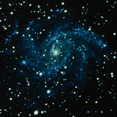 Krydder og Romfølse