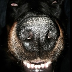 J_Leroy