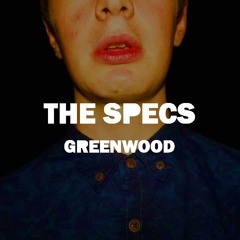 I Wouldn't Fuck You For Practise