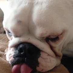 killerraoul