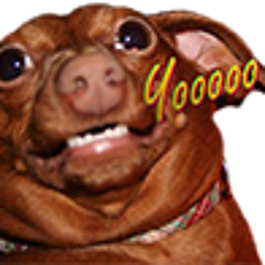 Yo dog