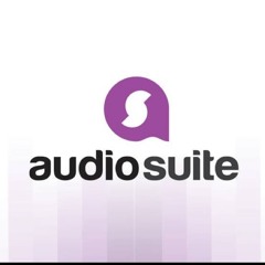 AudioSuite Studio