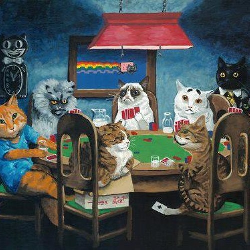 Коты играют в карты скачать букмекерскую контору william hill