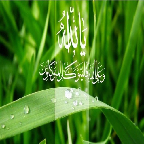 Abu~Salman110’s avatar