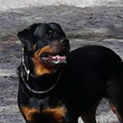 Jennifer Henderson 21