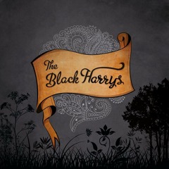 TheBlackHarrys