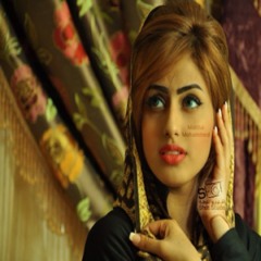 zoz suliman2014