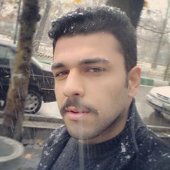 faridmi