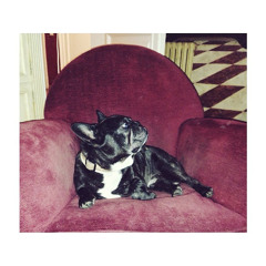 Catalina Guasch Ferrater