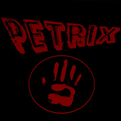 PetriX