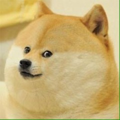 dosthouangusbeef