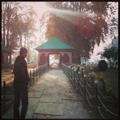 salmanwani12321
