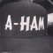 A-HAM3