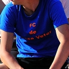 Willem van der Sommen