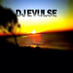 Dj Evulsion