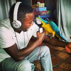 Entertainer Vipmusic