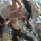Riky Suliana'forever