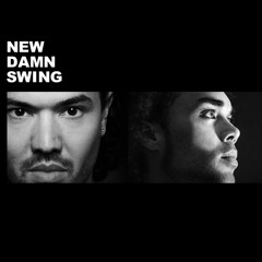 NEW DAMN SWING