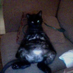 William Bush 3