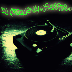 DJ Frequency Wildside