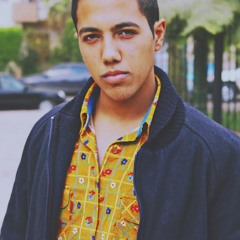 Mahmoud A. ElMokadem