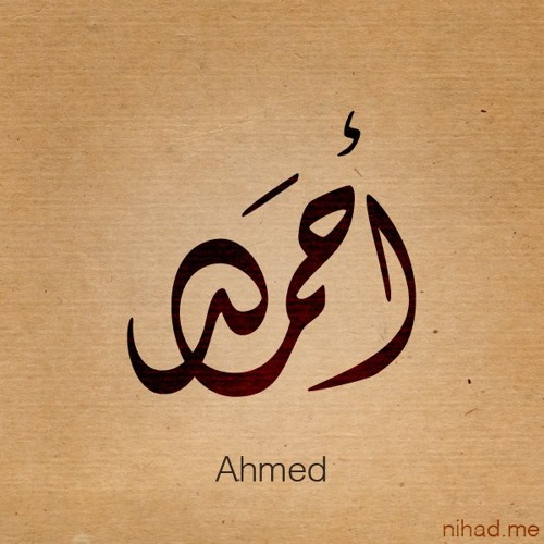 كل حي سيموت،أبوأسحاق الحويني