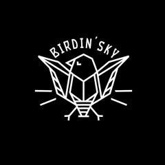 Birdin'sky