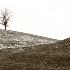 todd edwards
