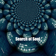 Search Of Soul II