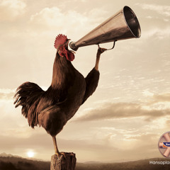 JoelBellot aka Cantagallo