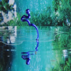 Turbo Polyp Kermis Corps