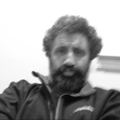 Christopher V Browning