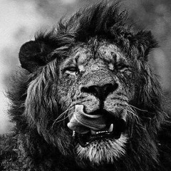 ALISON WONDERLAND trap, hip hop and bass DJ set in The Lab LA.mp3