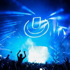 UMF MIAMI 2014
