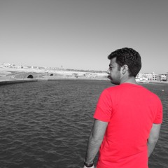 waleed abd elfattah ahmed