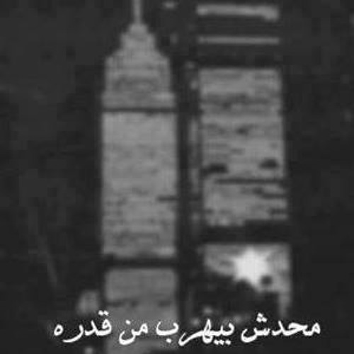 ابن الشهيد عمرو مصطفي