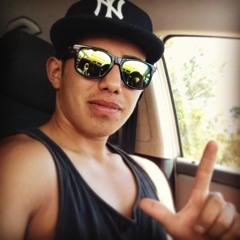 Sebastian venegas Flores