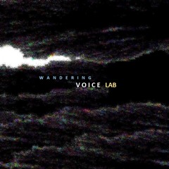 wandering voice lab