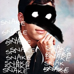 SNAKE SKYWALKER