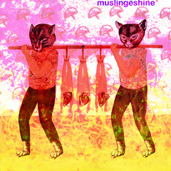 madsmuslingeshine