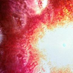 bongwizard@sbcglobal.net