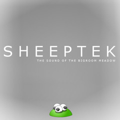 Sheeptek Jr