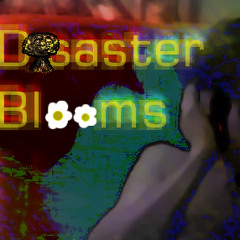 Disaster Blooms