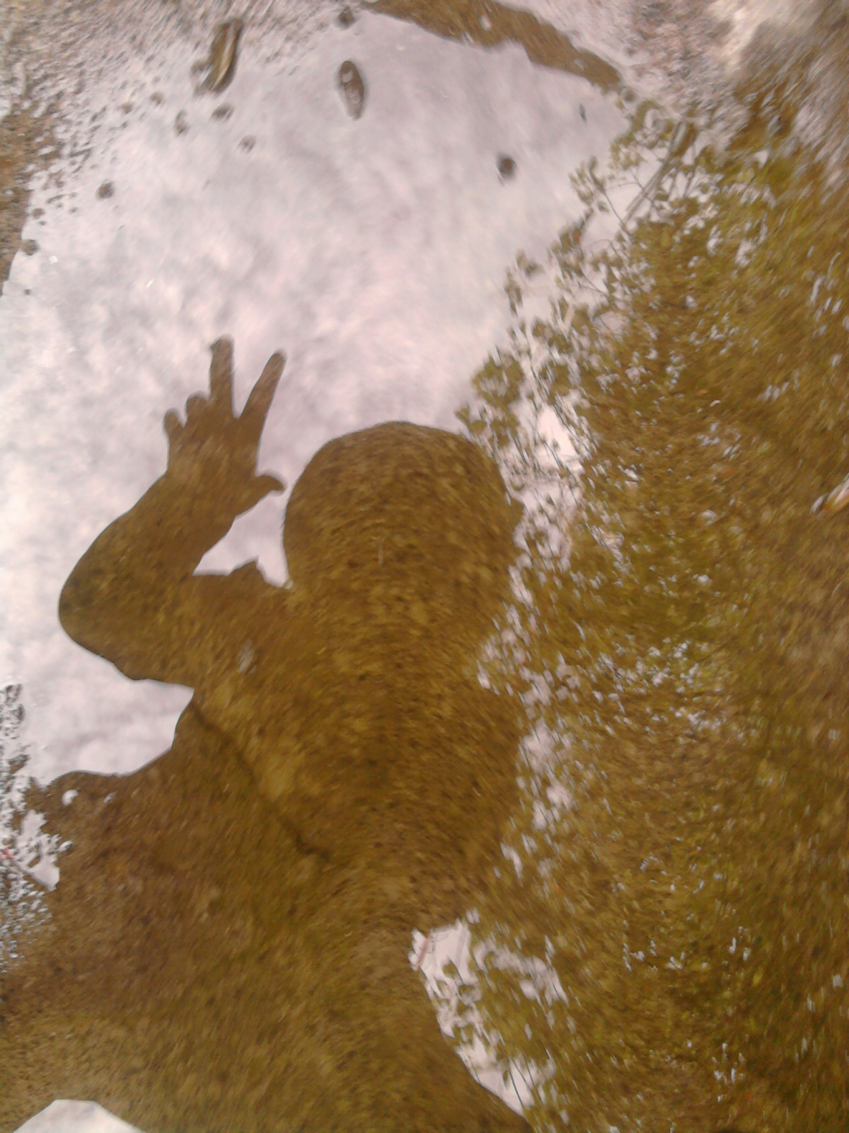 Adan Alejandro Garcia cover art