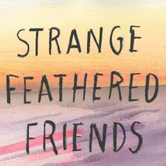 Strange Feathered Friends